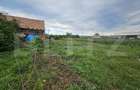 Casa de vanzare, 94 mp, teren intravilan 2.698 mp, Cisteiu - 3