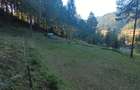 Teren intravilan la munte - 1