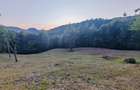 Teren de 7000 mp, în Grădiștea de Munte - 1