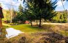 Cabane cu 10 camere Arieseni - 21