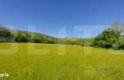 Investitie 3,6 ha Glamping, Pensiune sau Centru Ecvestru in inima - 1