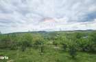 Teren 5,350mp Dobreni / Strada Manastirea Horaita - 3