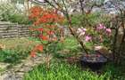 Pet Friendly | Garsoniera la casa | Curte proprie