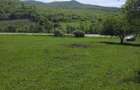 Teren intravilan - Herina - 1