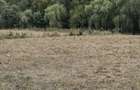 Teren 4070 mp in Scrovistea la padure si lac - 5