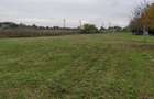 Teren 5000 mp Gorgota - Crivina, PH | Deschidere 25m | Utilitati la poarta & Livada - 5