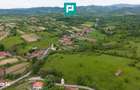 Proprietate de poveste pe Valea Muresului, Lupesti - 4