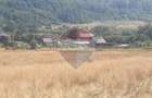 Teren extravilan-pasune, 6,300mp Rasnov / Soseaua Risnov-Paraul Rece