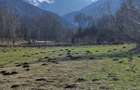 Teren vanzare Breaza Brasov - 4