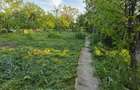 Casa cu 4 camere, mobilata, Mosteni, 35000 EUR - Mosteni (Teleorman) - 2