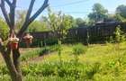 Casa de vanzare Comuna Viisoara-Judetul Teleorman - 19