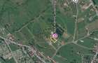 Teren de vanzare in Sovata - 1000 mp / Dealul Mestecanisului