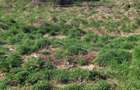 Ferma zoothenica 5.85 hectare - 8