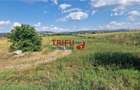 Teren intravilan construibil de 5.900 mp, zona industriala, Soseaua de - 7