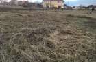 Vand teren intravilan in Gradi?te - 2