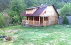 Vand teren si cabana la munte zona Hateg - 1