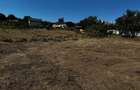 Teren intravilan de vanzare sat. Visan, Com. Barnova, Iasi | 1.600 mp | Investitie sau construire locuinta - 1