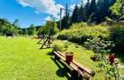 Casa de vanzare + 5.500 mp teren + 2 iazuri | Valea Putnei Pojorata - 15