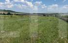 Teren intravilan, lot 1000mp , Zona Zaice?ti- Boto?ani - 1