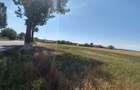 Teren Buftea | Strada Milano | intravilan - 4