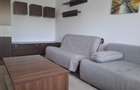 Apartament 2 camere de inchiriat Stefan cel Mare - 3