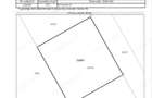 Cobeanca PRIMARIE Ogorului Loturi 500 - 1100 mp URBANISM DE CONSTRUIRE - 14
