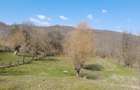Teren de 2650 mp, în Malurile - 1