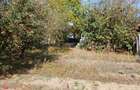 Casa de lemn + teren 2950 m2, sub 5km de centrul Tg.Mures