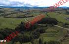 De vanzare teren intravilan in loc. Floroaia Mare - 5
