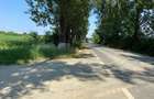 Teren intravilan 17 m deschidere Lac Silistea Snagovului 5000mp - 4