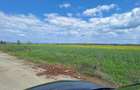 Vand Teren 3,25Ha Ghighiu,Sat Barcanesti,Autostrada A3-Dj101,Prahova - 1