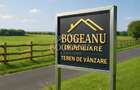BG136-Teren Agricol 53 ha comasat-DJ 593A-Jud.Timis Peciu Nou - 2