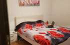 Vanzare apartament 2 camere, zona Nicolae Grigorescu, Sector 3 - 6