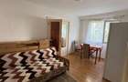 Apartament mobilat la parter, Miron Costin
