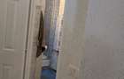 Pia?a Iosefin.Casa 3 camere de inchiriat