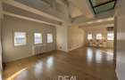 Penthouse in vila, de vanzare - Strada Tokio - 9