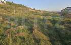 Teren 1150 mp, cu certificat de construire Salicea, central, - 2