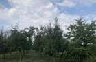 Casa de vanzare Iernut - 5