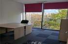 Spatii birouri in Business Hub - 18