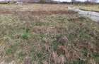 Teren intravilan 500 mp-ideal casa-Zona Dr. Tarpiului - 2