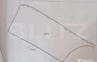 Teren agricol de vanzare 46.800 mp (4,68 ha) Icland - 1