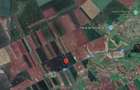 -teren extravilan, com. Satchinez, jud. Timis - 2
