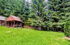 Cabană – Mureș – Sălard – Zona Pensiunea Denisa - 16