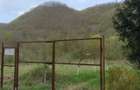 Teren cu livada pe rod 120 pomi fructiferi 3.100 mp Sat Boz, Brani?ca, Hunedoara - 4