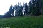 De Vanzare teren in Carlibaba, judetul Suceava - 1