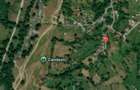 6.605 mp de natura pura refugiu, afacere sau investitie in Candest - 3