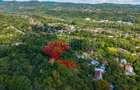 Teren 3.886 mp, Breaza - Podu Vadului, 30 m deschidere la asfalt