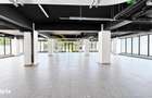 Spatiu Comercial Showroom 425mp Himson Aurel Vlaicu - 2