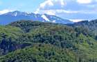 Vand apartament 2 camere - 5