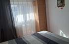 Apartament cu 2 camere de inchiriat in Calea Sagului,320 euro - 5